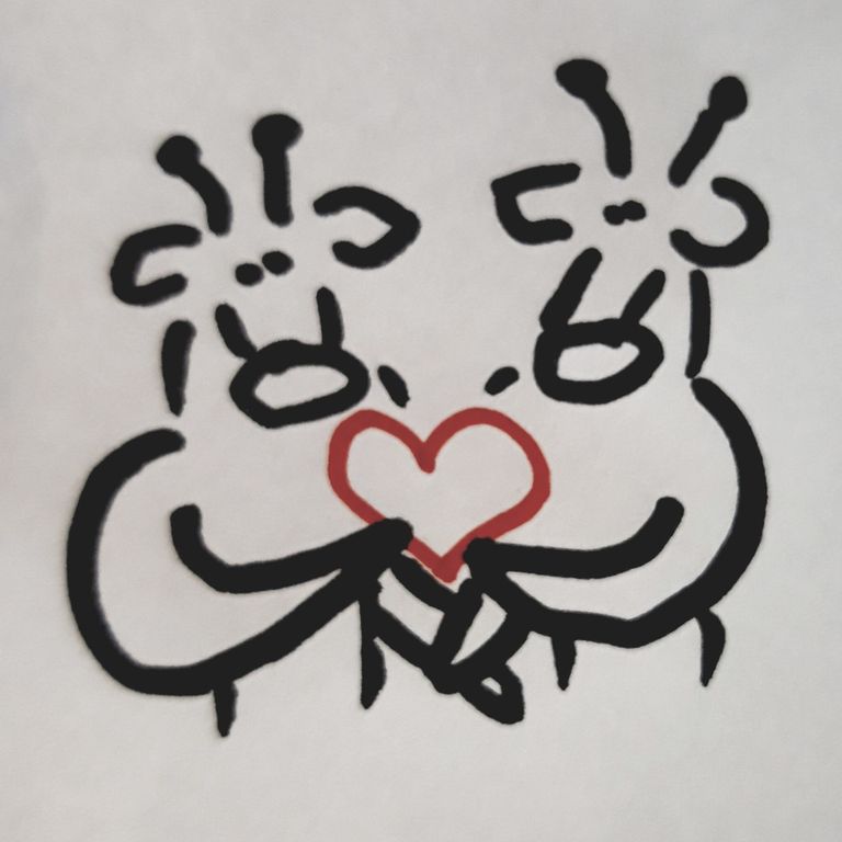 Giraffenpaar